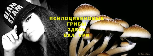 скорость Аркадак